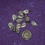 Paisley or Fancy Leaf Charm..